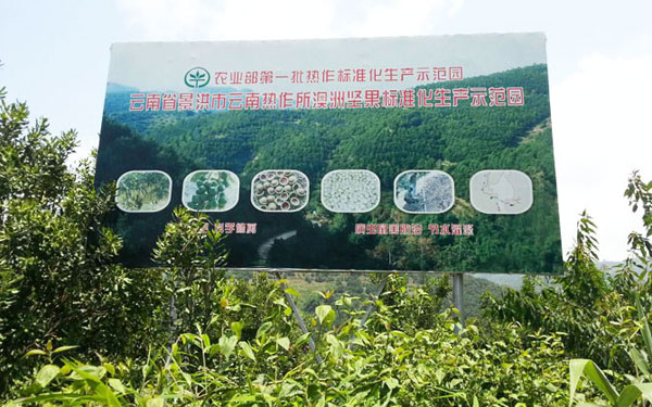 ���ϟᎧ����ƌW(xu��)�о���ˮ̎���(xi��ng)Ŀ
